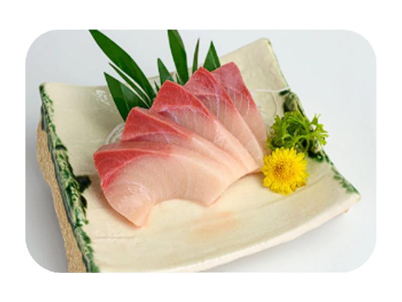 Yellowtail Hamachi Sas