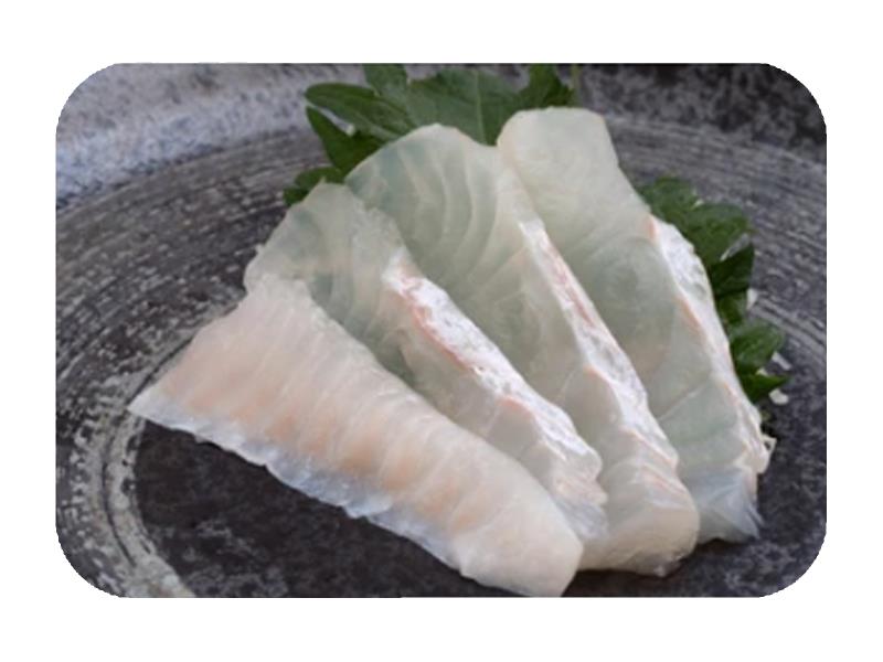 Halibut Hirame Sas