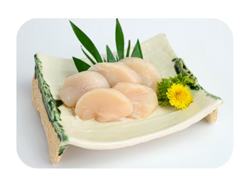 Scallop Hotate Sas