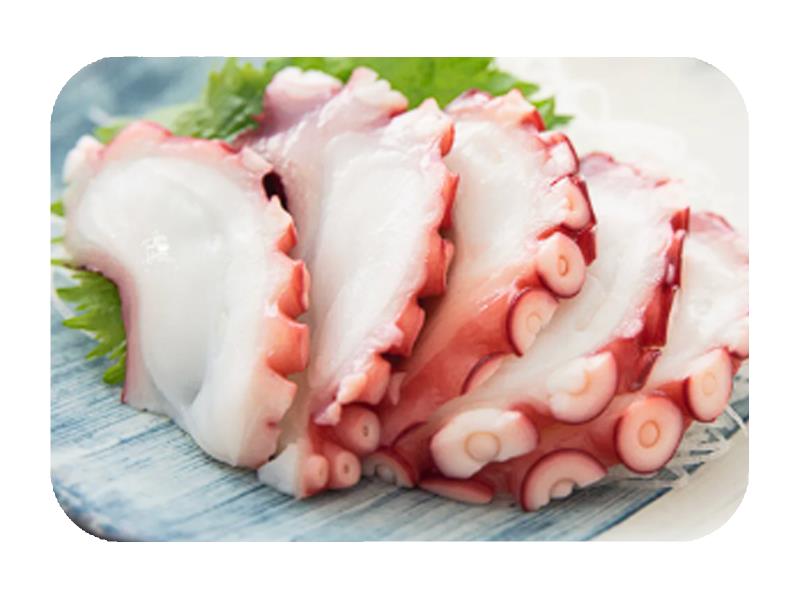 Octopus Tako Sas