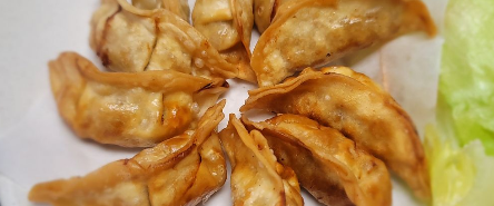 Gyoza Plate (10Pcs)