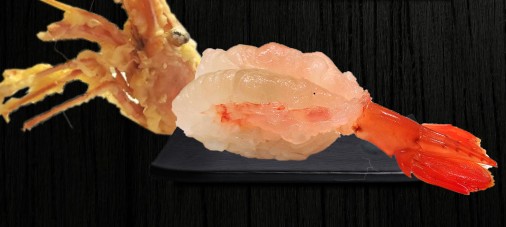 Ama Ebi Sushi