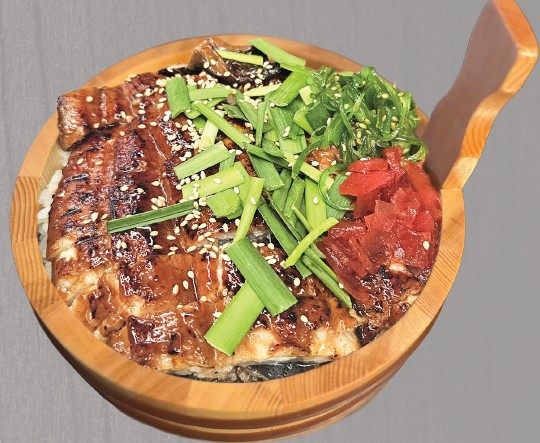 Unagi Don