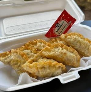 Fried Beef Dumplings