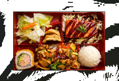 #5 Salmon Lunch Special