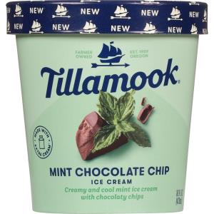 Mint Chocolate Chips