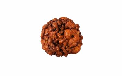 Apple Fritter