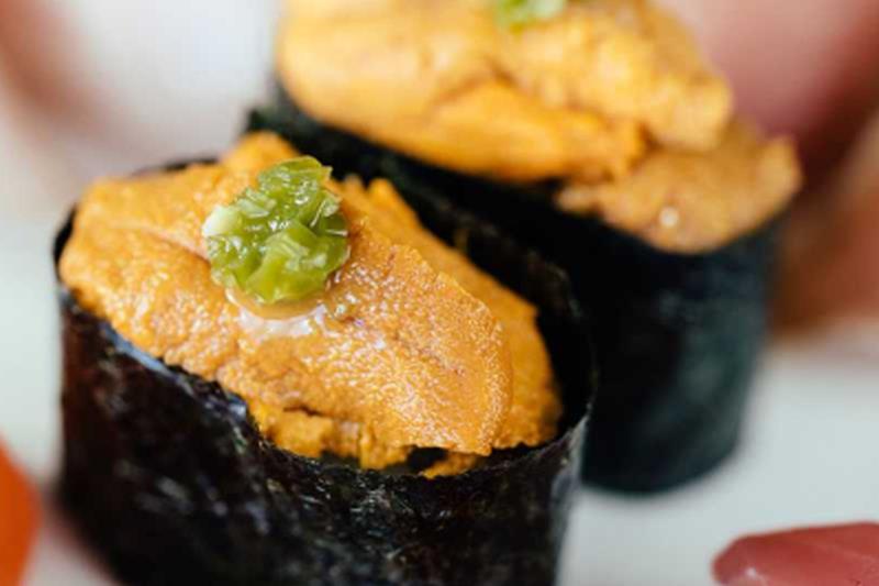 Uni Hokkaido (N)
