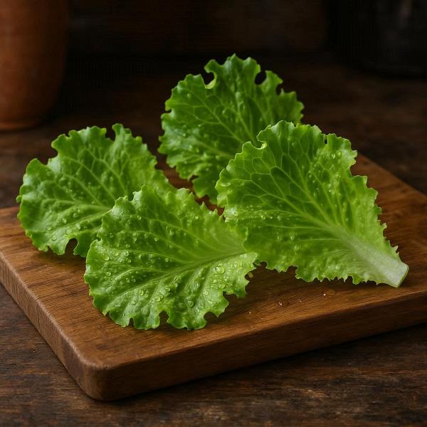 Lettuce Wrap