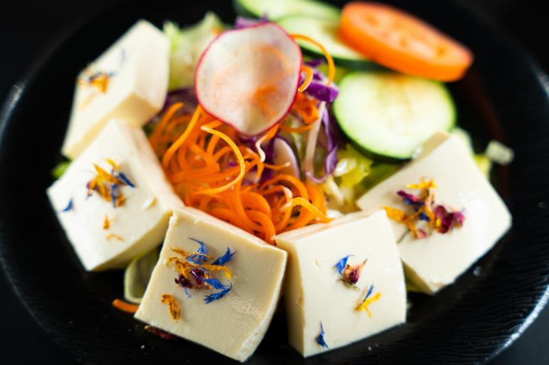 Organic Tofu Salad