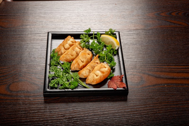 Chicken & Vegetable Dumpling Gyoza