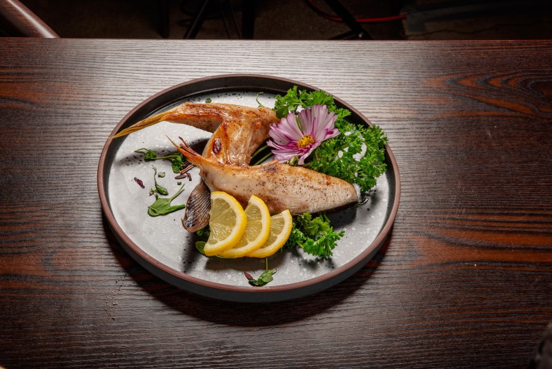 Yellowtail Collar