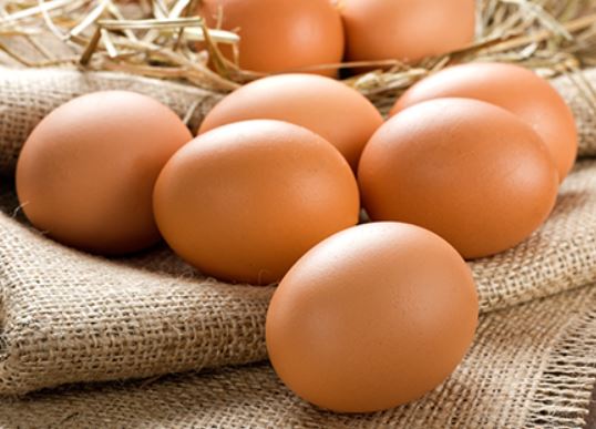 Egg