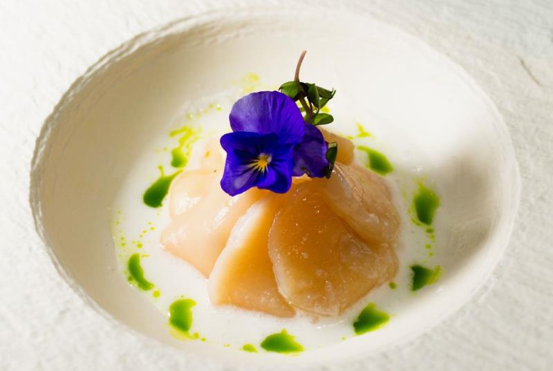 Hokkido Scallop Ceviche